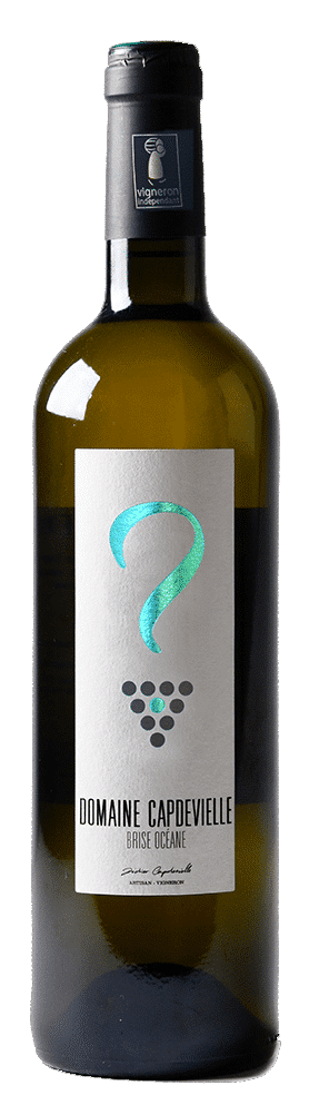 Vin blanc Jurançon : Brise Océane