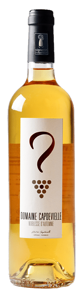 Vin blanc Jurançon : Noblesse d’automne
