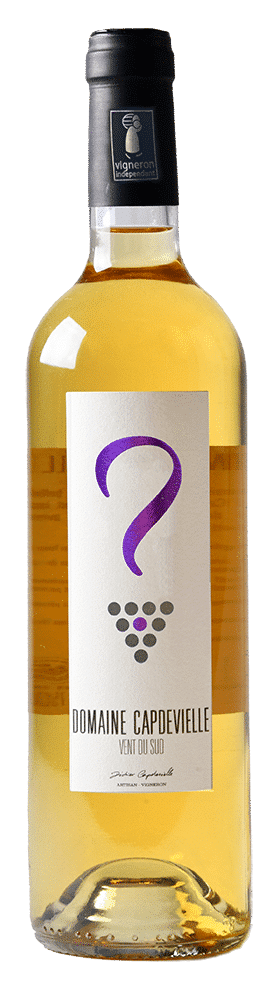 Vin blanc Jurançon : Vent du sud